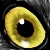 :iconredwing666:
