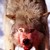 :iconredwingedwolf: