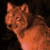 :iconredwolf41:
