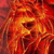 :iconredxwaterxfox: