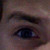 :iconredyoshi101: