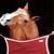 :iconreedkessler:
