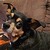 :iconreej970: