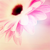 :iconreemance: