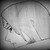 :iconrefiturte: