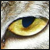 :iconReflectaholic: