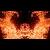 :iconreflectiveelements:
