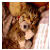 :iconrefridgingfire: