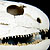 :iconrefriedrobot: