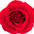 :iconregalrosegirl: