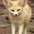 :iconregardnoisette: