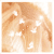 :iconreginamiszkin: