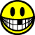 :iconregnbuefrosk: