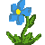 :iconregndugg: