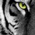 :iconrei-96: