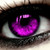 :iconreichelwulf: