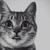 :iconreiko-tyan: