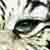 :iconReiKonthetiger:
