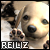 :iconreiliz: