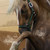 :iconrein-of-grace: