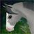 :iconreinaequina: