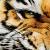 :iconreinarica1: