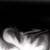 :iconreinde3r: