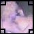 :iconreinge: