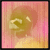 :iconreirocks: