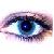 :iconreisa1084: