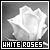 :iconreisel: