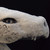 :iconreiver36: