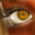 :iconreizvolle: