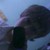 :iconrelic1194:
