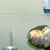 :iconreligione: