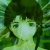 :iconrellinai: