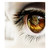 :iconreloadforever: