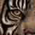 :iconRememberMeOne: