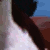 :iconremi-lover: