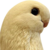 :iconremink: