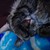 Remiqs22 :iconremiqs22: