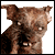 :iconRemusChile:
