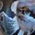 :iconremyjones: