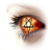 :iconRena-91:
