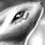 :iconrenamonfan90: