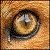 RenamonTamer :iconrenamontamer: