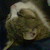 :iconrenards89: