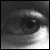 :iconrenchylp: