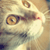 :iconrenduh: