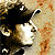 :iconrenga-arts: